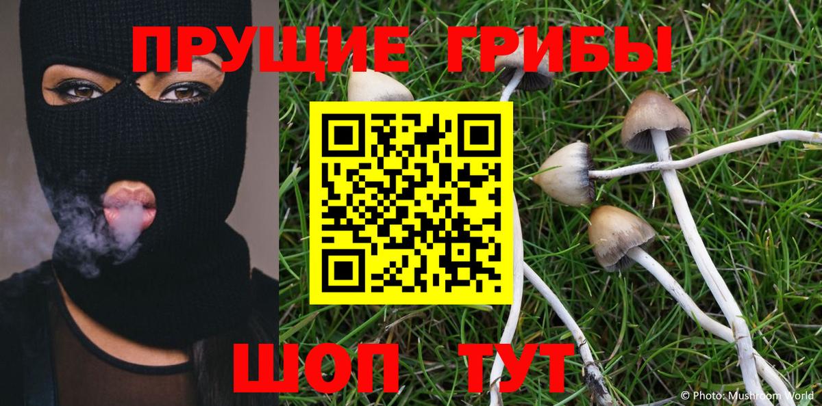 Галлюциногенные грибы Magic Shrooms Северобайкальск