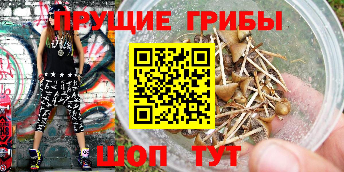 Галлюциногенные грибы Psilocybine cubensis  Вход с VPN  купить наркотик  Северобайкальск  Псилоцибиновые грибы Psilocybine cubensis 